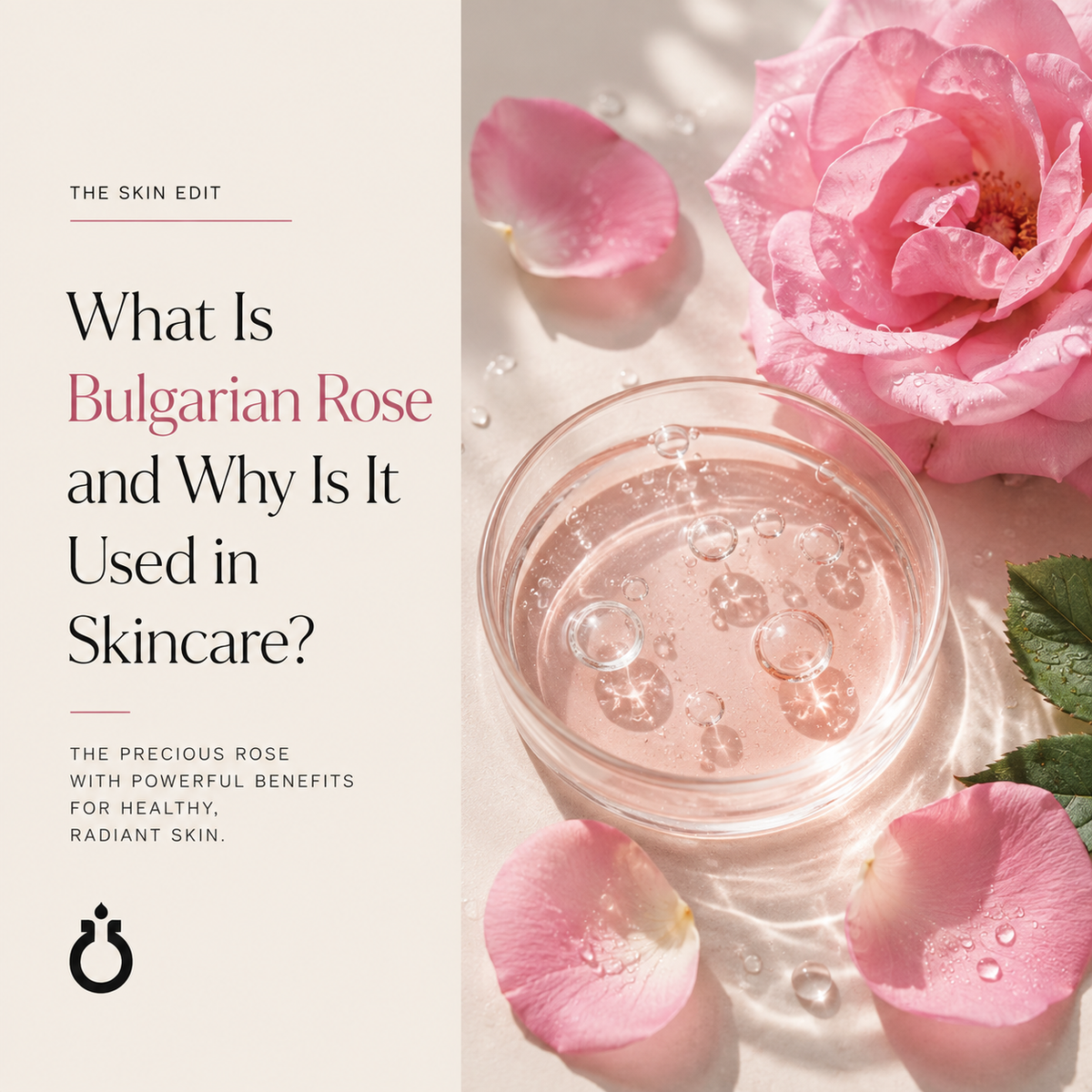 “What Is Bulgarian Rose and Why Is It Used in Skincare
